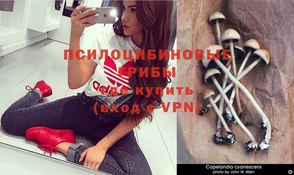прущий лед Белоозёрский