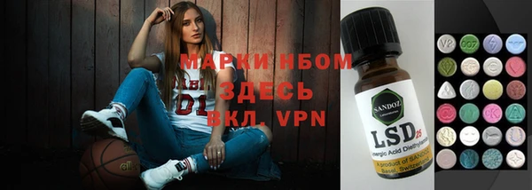 индика Беломорск