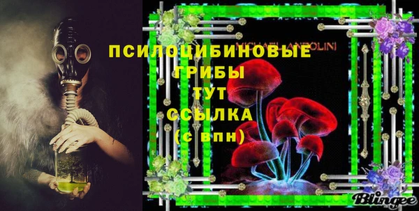 бошки Богородицк