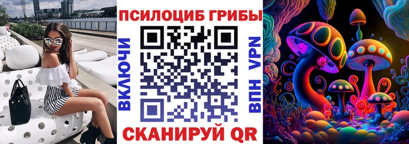 Псилоцибиновые грибы Psilocybine cubensis  Карпинск 